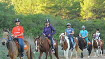 Ephesus Full-Day Tour with Horse Safari from Kusadasi Cruise Port max 10 people