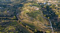 Porches Algarve Vineyard Tour and Wine Tasting Experience