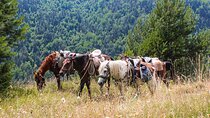 5-Day Horse Riding Tour in Caucasus