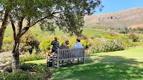 Private Wine Tour to Stellenbosch & Franschhoek from Cape Town