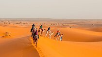 3 Day Trip from Marrakech to Merzouga