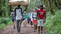 6-Day Guided Tour in Machame Route Mt Kilimanjaro