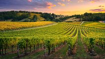 Full Day Grape Escape to Alsace wine route via Strassbourg