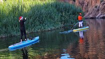 Inflatable Paddleboard Full-Day Rental - Transportation required