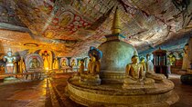 Dambulla Temple And Polonnaruwa Day Tour From Kandy