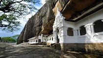 Dambulla Cave And Polonnaruwa All Inclusive Day Tour From Kandy