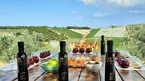 From Athens: Olive Oil Tasting, Olive Grove & Wine Experience