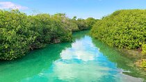 Eco Biosphere Tour, Sian Kaan Swim from Tulum City