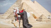 Horse or Camel Ride in Giza Pyramids