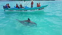 Sian Kaan Swim & Safari, Biosphere tour from Playa Del Carmen