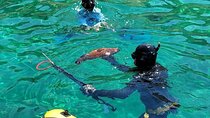 Spearfishing in Chania, Crete (price is per group)