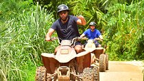 Great Adventure in middle of the Jungle. ATV experience, Ziplines and cenote