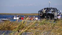 Everglades Small Group Express from Fort Lauderdale +Airboat Ride