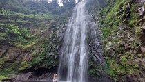 Materuni Waterfalls and Coffee Tour in Moshi
