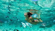 Phuket Coral Island Private Snorkeling Adventure All Inclusive
