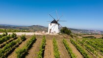 Winemaker for a day Tour from Lisbon