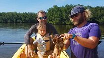 Kayak + Guided Snorkel & Morning Sail hosted by Honest Eco
