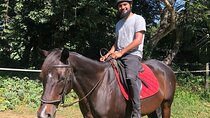 Half Day Horse Riding in Dambulla