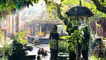 Private Balinese Cultural Village Tour