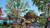 Istanbul Princes Island Tour with Lunch & Hotel Transfer