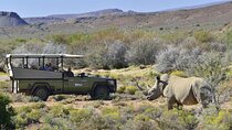 Cape Town - 2Days 1-Overnight Sanbona Safaris Game Reserve Tour 