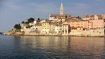 Full-Day Small-Group Tour in Istria