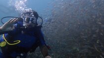 Bodrum Scuba Diving Tour With Free Hotel Transfer By Locals