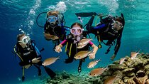 Marmaris Full Day Scuba Diving Two Dives With Lunch Hotel pickup