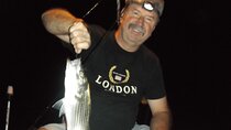 Lake Mead Striped Bass Fishing Getaway