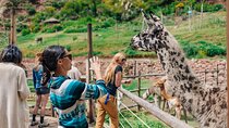 2-Day Private Tour of the Sacred Valley and Machu Picchu