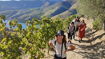 Douro Valley Premium Tours - Private Driver & Guide