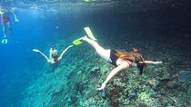 Snorkeling Day Trip to Nusa Lembongan and Nusa Penida