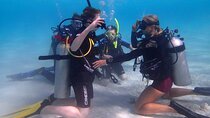 Private First-Time Dive on Aruba’s Reef and Wreck Site