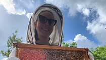 Reagan’s Honey Beekeeping Adventure
