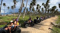 Tropical Quads (2 PERSONS PER QUADS )