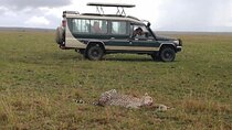 3 Day Private 4x4 Jeep Tour in Masai Mara Safari