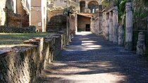 Herculaneum Private Tour. Discover the Ancient Roman City