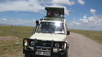 Ultimate 12 Days Private Safari Tour in Kenya and Tanzania