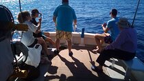 Semi Private and Private Daily Fishing Trip Athens