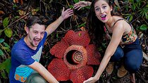 Tambunan Rafflesia Rainforest Reserve Tour from Kota Kinabalu