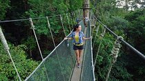 Poring Hot Springs Tour from Kota Kinabalu including Treetop Canopy Walk