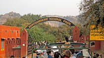 Jaipur to Ranthambore National Park Private One Day Trip