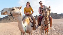 2 Hours Camel Riding Experience in Agadir
