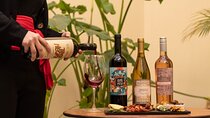 Boutique Wine Tasting: A Unique Experience in Buenos Aires