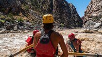 Westwater Canyon Full-Day Rafting Adventure from Moab