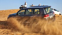 Full Day Desert Safari Tour in Dubai