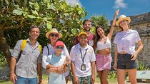 Riviera Maya Tour to Tulum, Coba, Cenote Bliss, Playa Del Carmen
