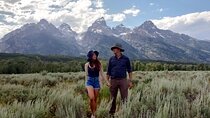 Yellowstone and Grand Teton National Parks Wildlife Adventure (2 Day/1 Night)