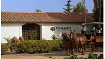 Colchagua Premium Wine Tour from Santiago