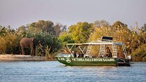 Zambezi River Safari & Wildlife